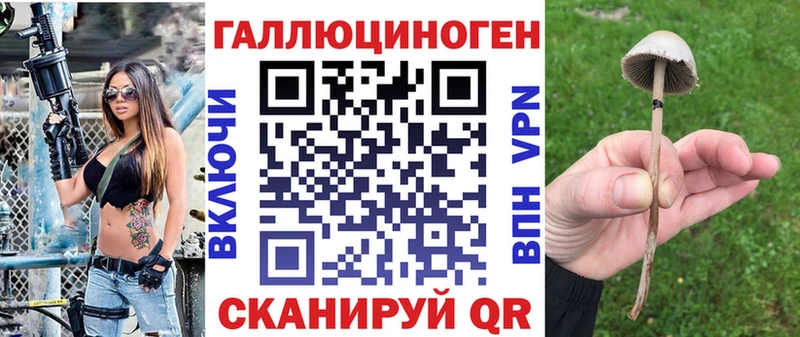 Псилоцибиновые грибы Cubensis  где купить наркотик  блэк спрут ТОР  Бабушкин 